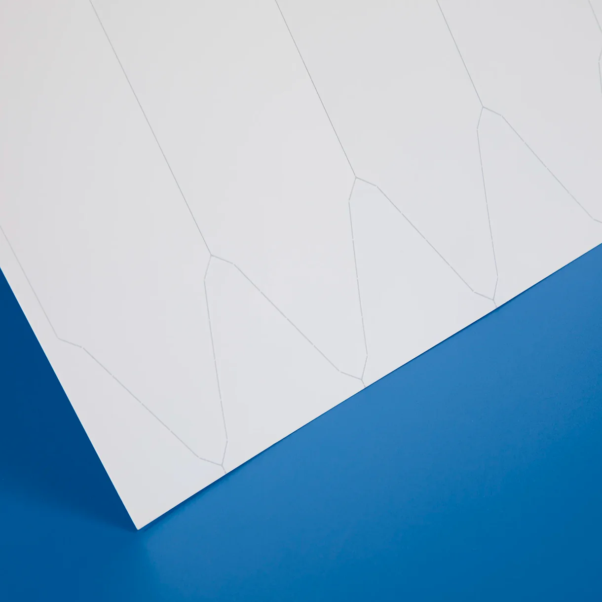 Inkjet Stick-In Plant Labels, 145 × 50 mm — product view 3